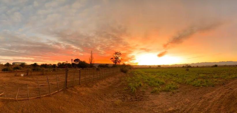Apartamento Pureplaas Self Catering Volmoed Oudtshoorn Klein Karoo Exterior foto