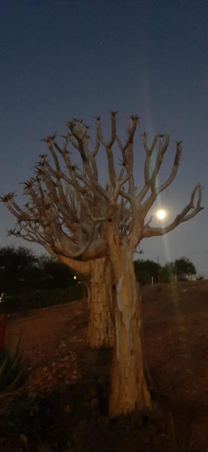 Apartamento Pureplaas Self Catering Volmoed Oudtshoorn Klein Karoo Exterior foto